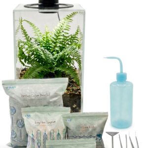 Premium XL Lighted Glass Terrarium Kit - Image 1