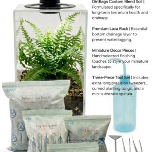 Premium XL Lighted Glass Terrarium Kit - Image 2