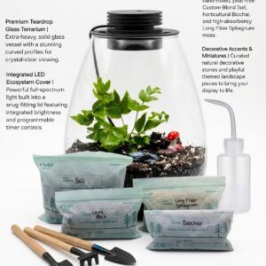 Premium Teardrop Lighted Terrarium Kit - Image 2