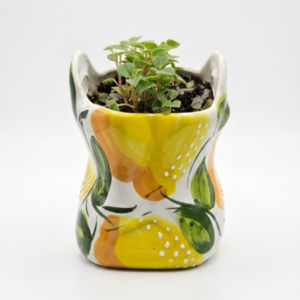 Ceramic Lemon Wall Pocket Planter with Trailing Peperomia - Image 2