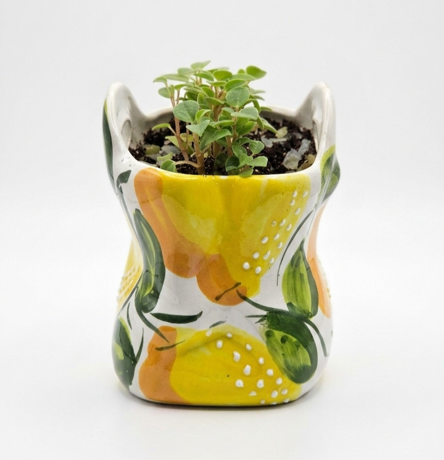 Ceramic Lemon Wall Pocket Planter with Trailing Peperomia