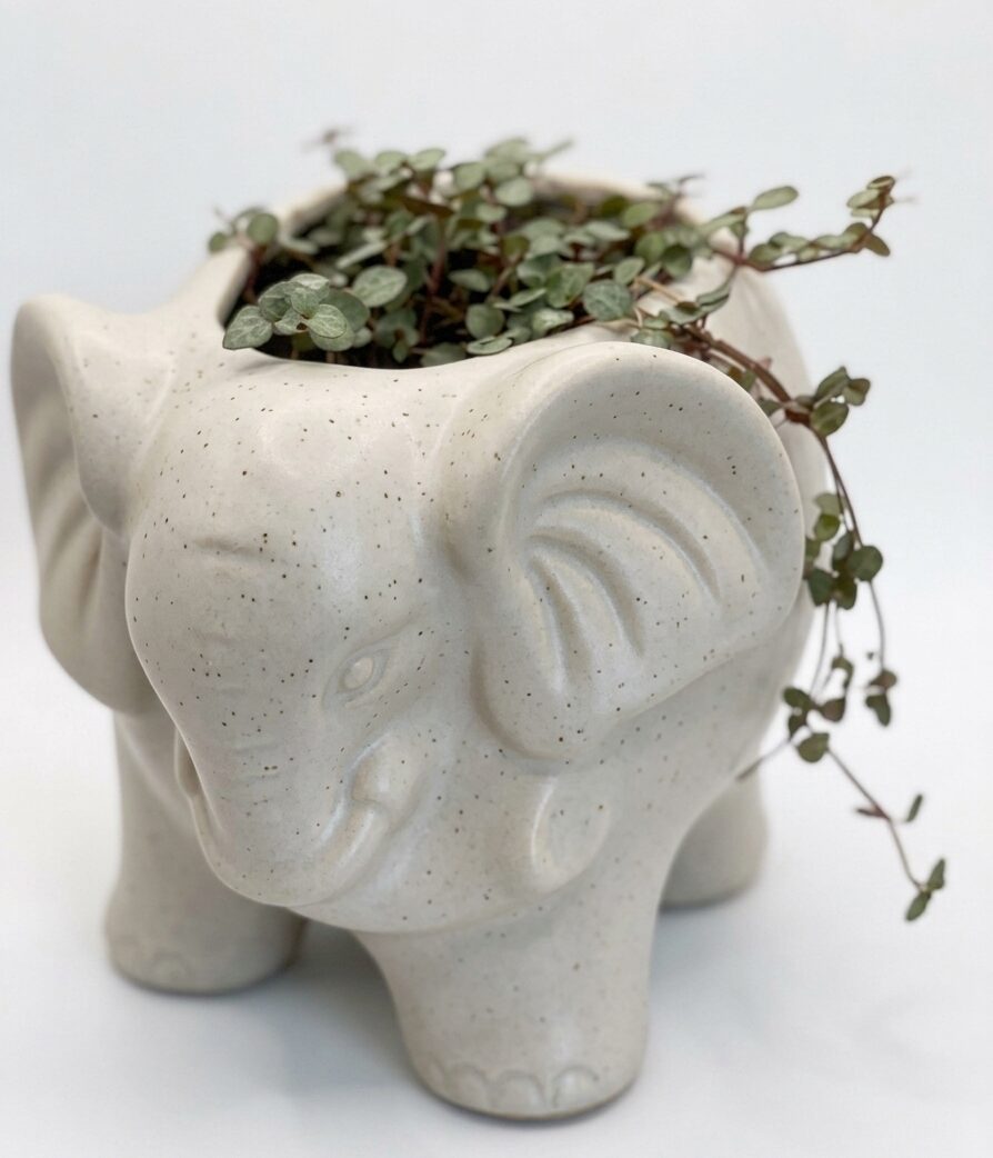 Ceramic Elephant Planter with String of Spades