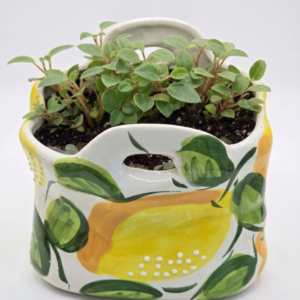 Ceramic Lemon Wall Pocket Planter with Trailing Peperomia - Image 3