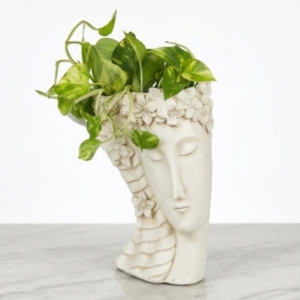 Goddess Face Planter with Golden Pothos