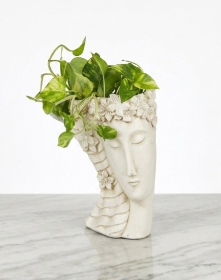 Goddess Face Planter with Golden Pothos