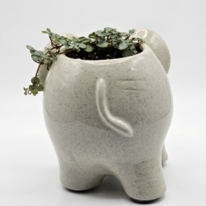 Ceramic Elephant Planter with String of Spades - Image 2