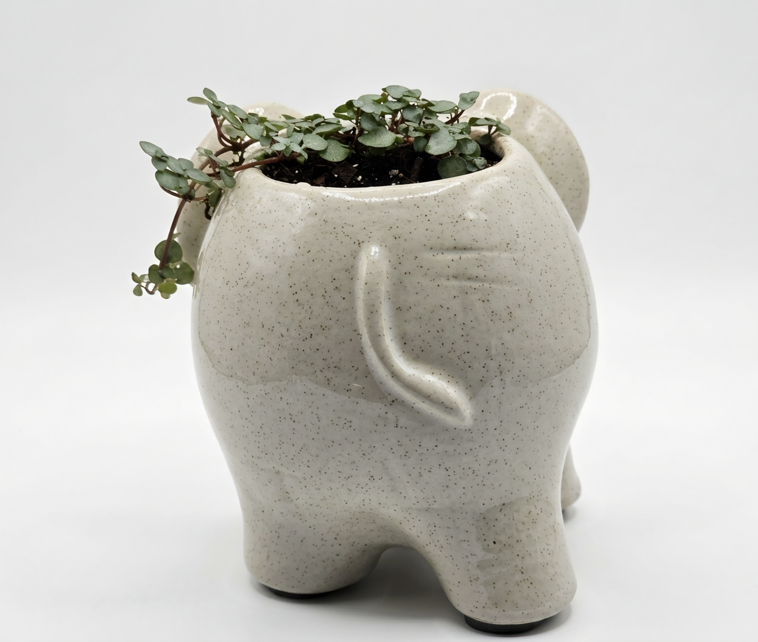 Ceramic Elephant Planter with String of Spades