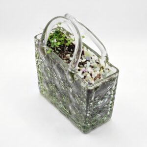 Glass Purse Planter with String of Frogs (Ficus pumila 'Quercifolia')