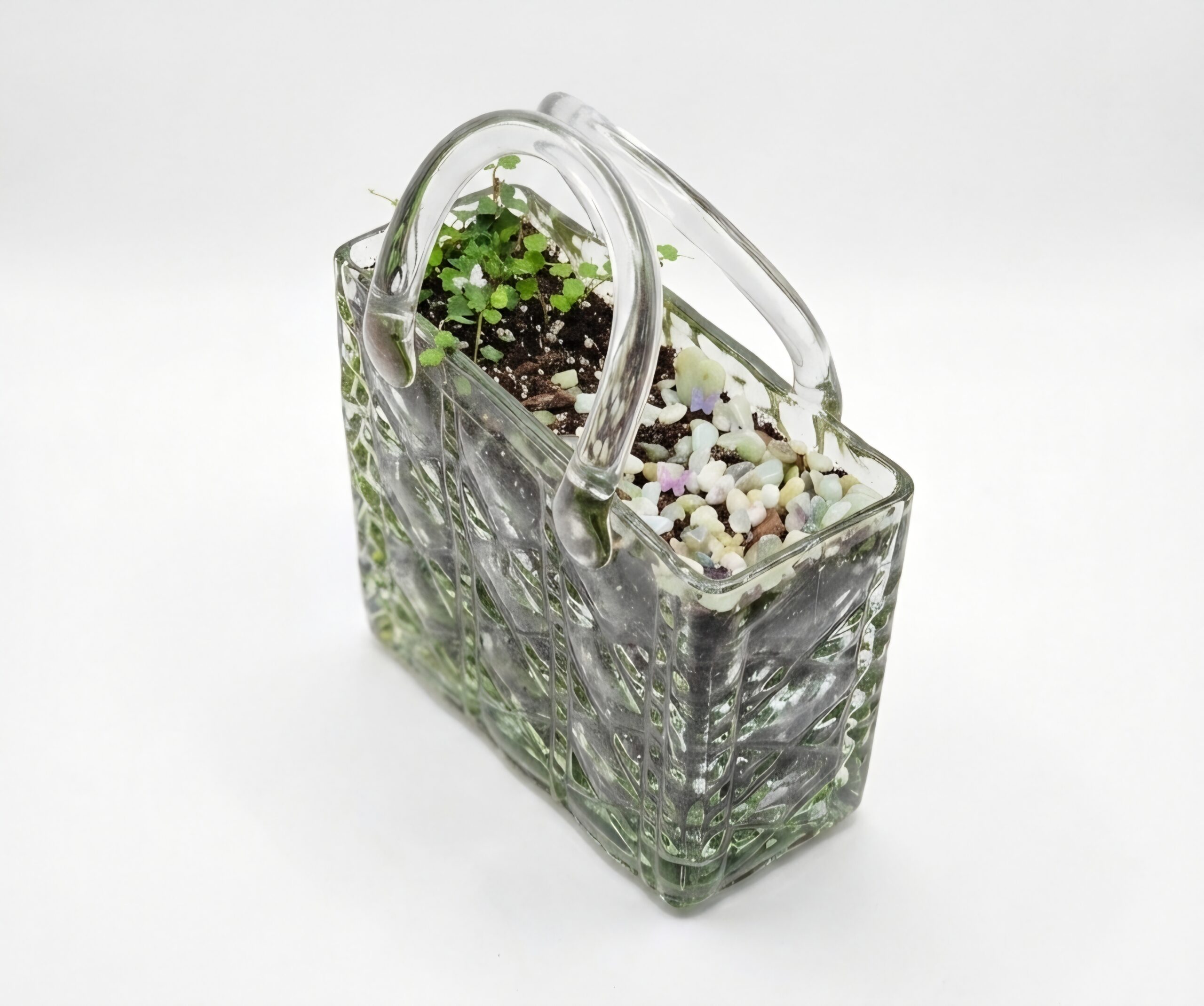 Glass Purse Planter with String of Frogs (Ficus pumila 'Quercifolia')