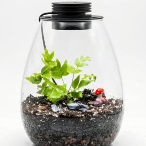 Premium Teardrop Lighted Terrarium Kit - Image 4