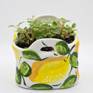 Ceramic Lemon Wall Pocket Planter with Trailing Peperomia
