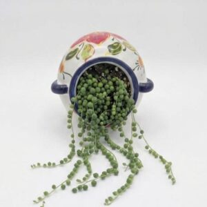 Cascading String of Pearls