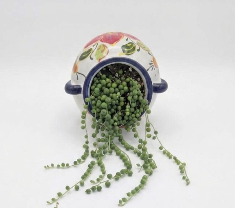 Cascading String of Pearls