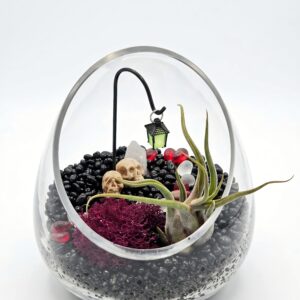 Spooky Miniature Lantern DIY Air Plant Terrarium Kit - Image 2