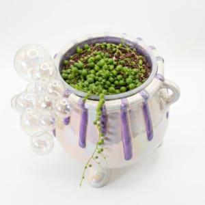Iridescent Bubbling Cauldron & String of Pearls - Image 3
