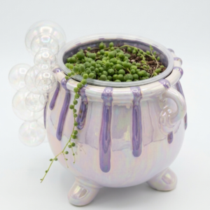 Iridescent Bubbling Cauldron & String of Pearls - Image 1