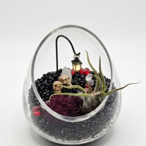 Spooky Miniature Lantern DIY Air Plant Terrarium Kit - Image 1