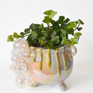 Iridescent Bubbling Cauldron & English Ivy - Image 1