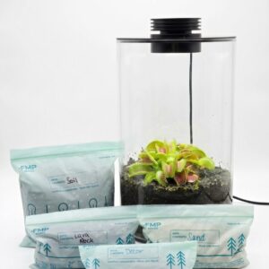 Cylindrical Terrarium DIY Kit - Image 10