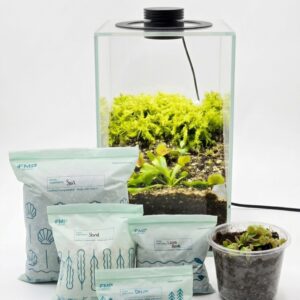 Premium XL Lighted Glass Terrarium Kit - Image 8