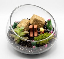 Country Farmhouse DIY Succulent Terrarium Kit - Image 5