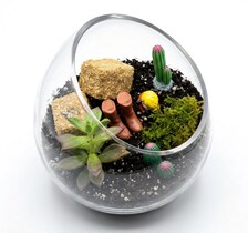 Country Farmhouse DIY Succulent Terrarium Kit - Image 1