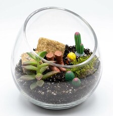 Country Farmhouse DIY Succulent Terrarium Kit - Image 4
