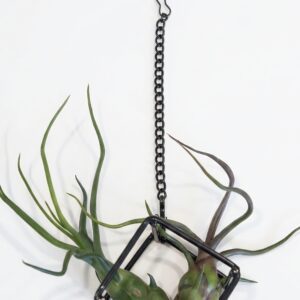 The Aerostatic Duo: Hanging Double Bulbous Air Plant Geometric Holder - Image 1