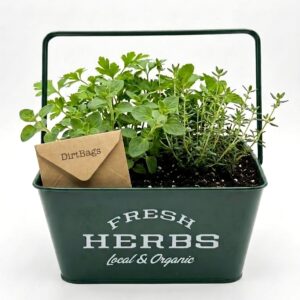XL Fresh Herb Garden DIY Cultivation Essentials Kit - Image 1