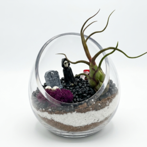 Spooky Halloween DIY Terrarium Kit - Image 1