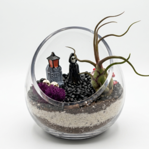 Spooky Halloween DIY Terrarium Kit - Image 2