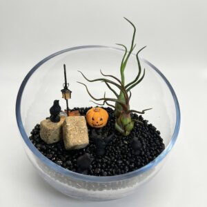 XL Halloween Witch Pumpkin DIY Terrarium Kit - Image 1