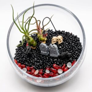 XL Spooky Graveyard DIY Air Plant Terrarium Kit - Image 4