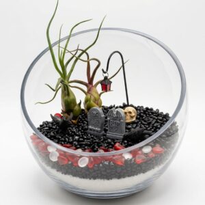 XL Spooky Graveyard DIY Air Plant Terrarium Kit - Image 1