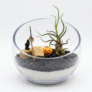 XL Halloween Witch Pumpkin DIY Terrarium Kit - Image 2