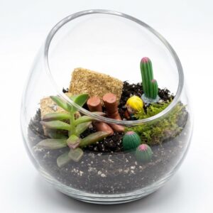 Country Farmhouse DIY Succulent Terrarium Kit - Image 2