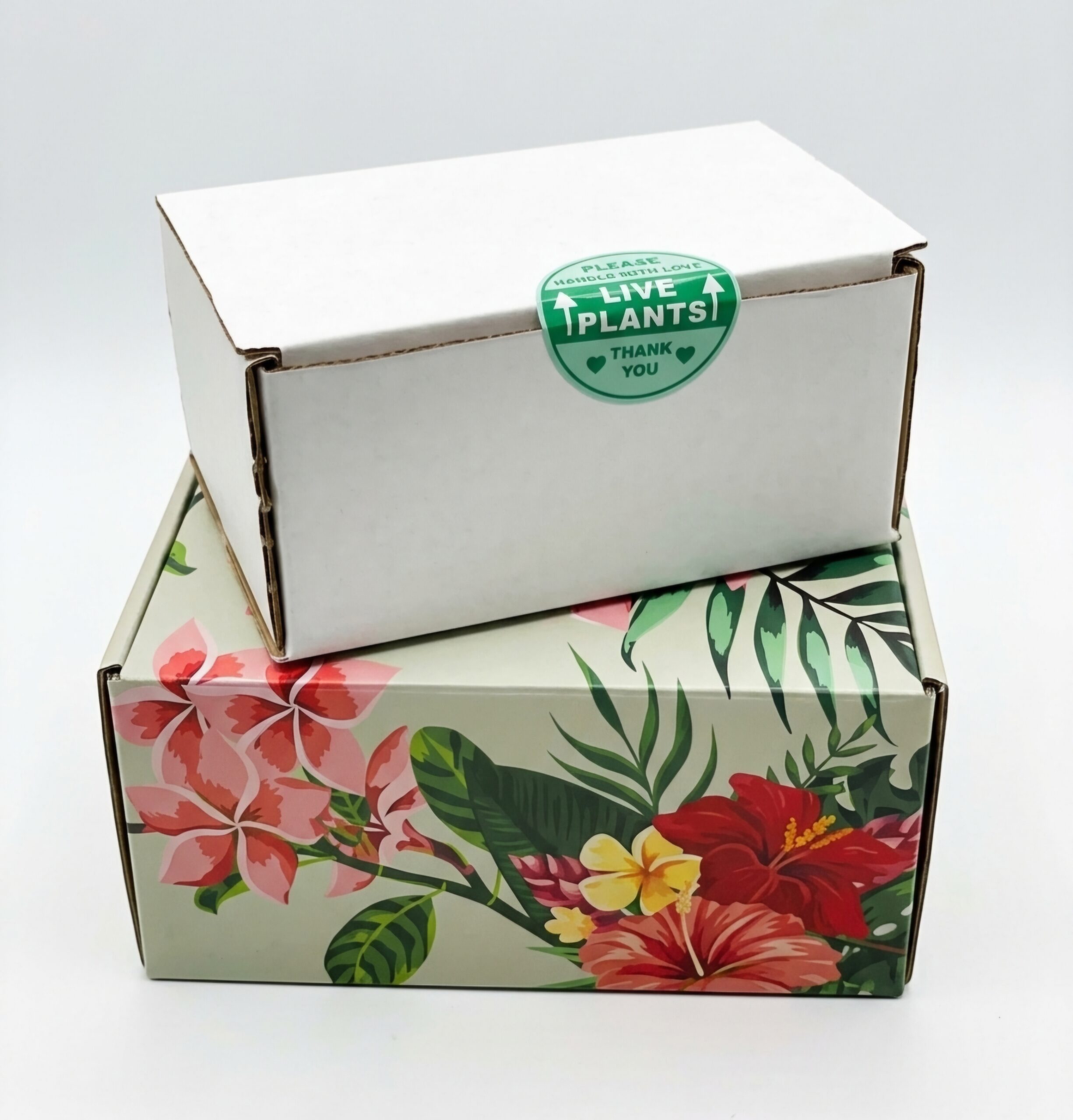 Date Night With A Plant Box Set Presentation