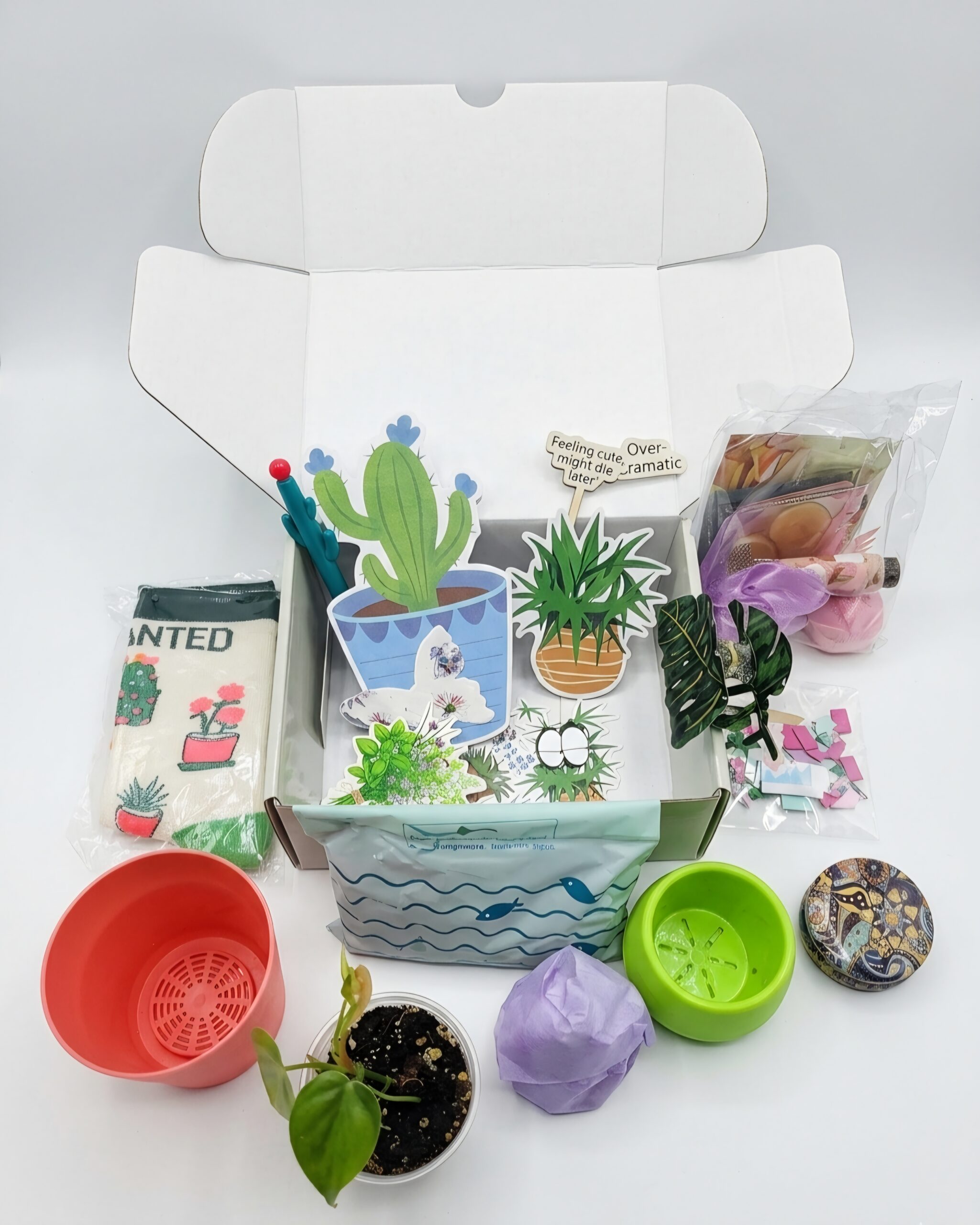 Date Night With A Plant Box Set